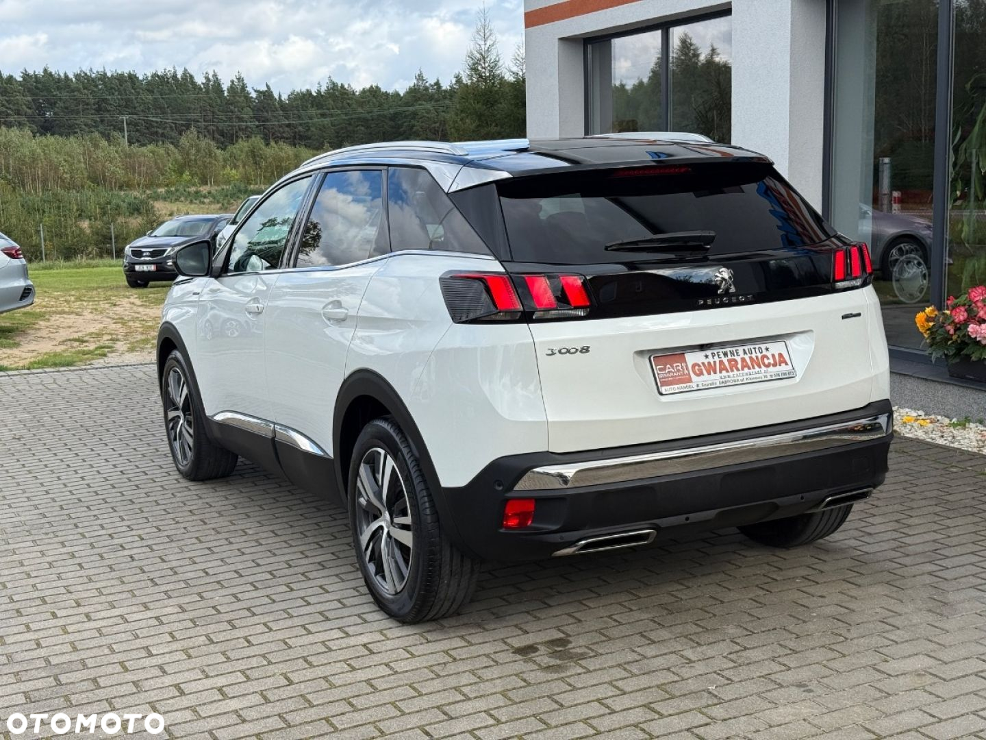 Peugeot 3008 - 11