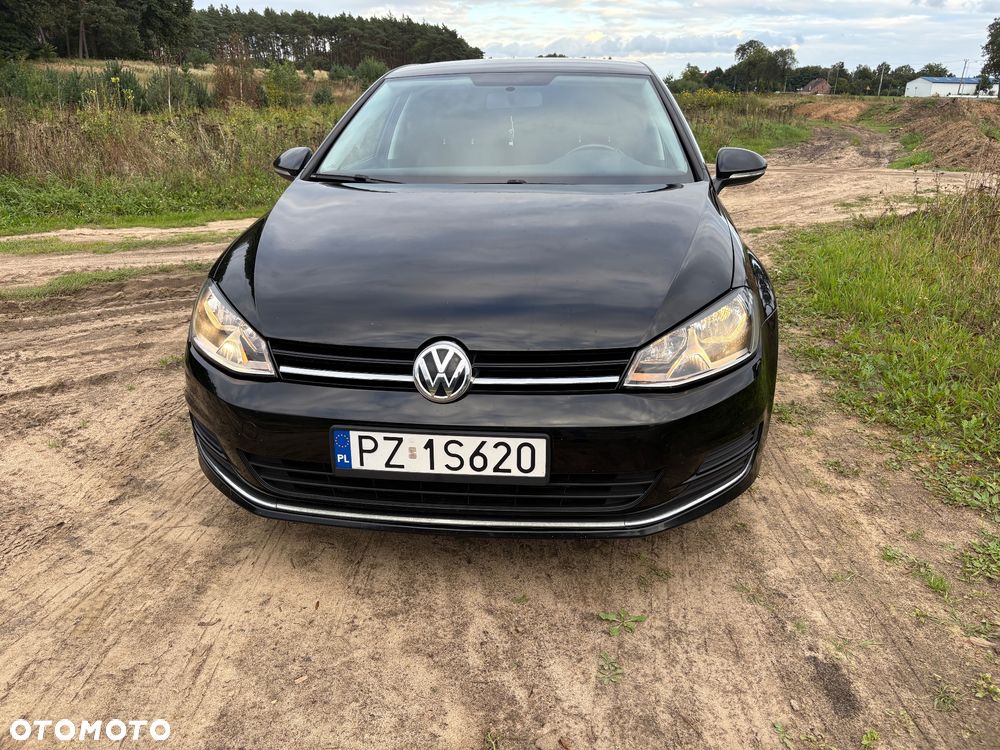 Volkswagen Golf - 8