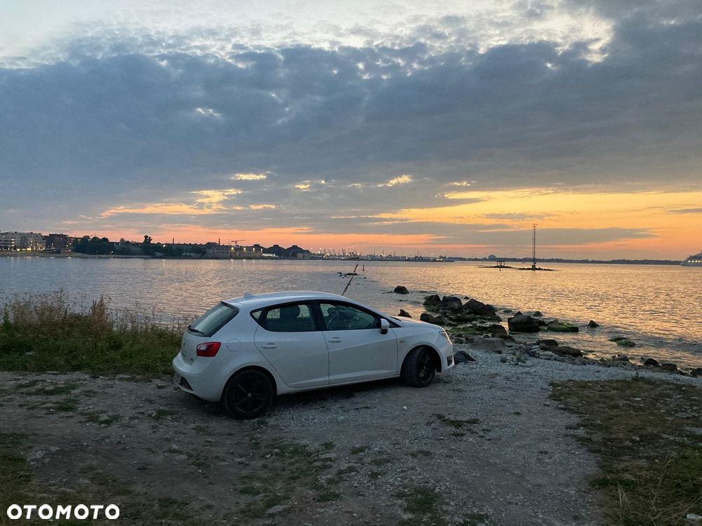 Seat Ibiza 1.4 TDI FR S&S - 12