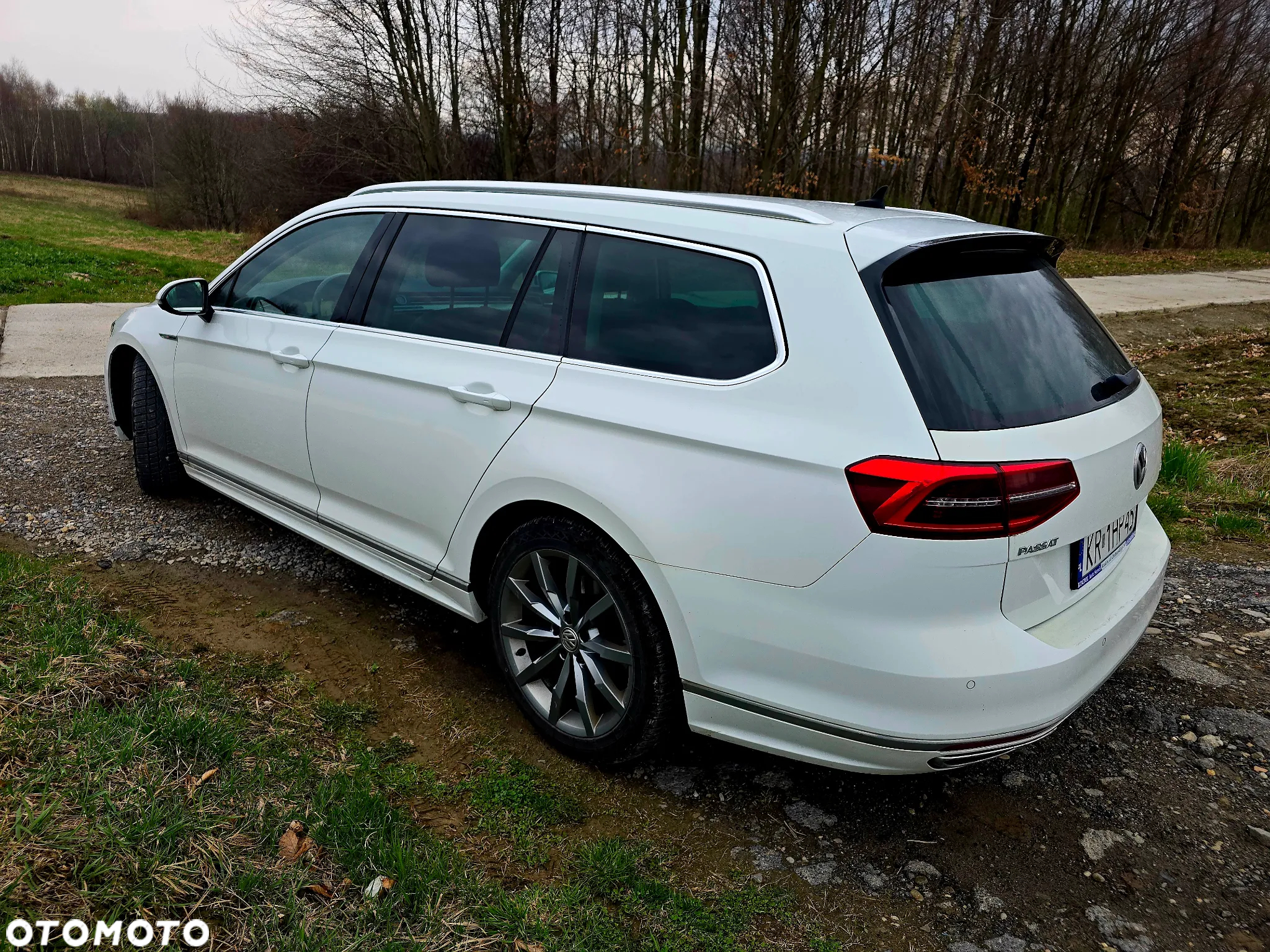 Volkswagen Passat 2.0 TDI Bi-Turbo BMT 4Mot Highline DSG - 5