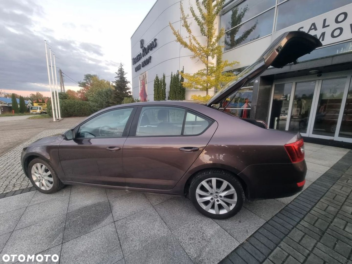Skoda Octavia 1.6 TDI Elegance - 27