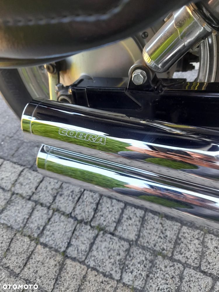 Honda Shadow - 5