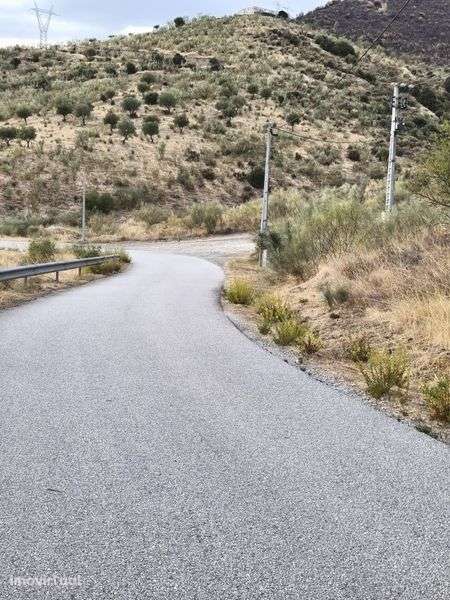 Terreno rústico em Moncorvo - Grande imagem: 4/6