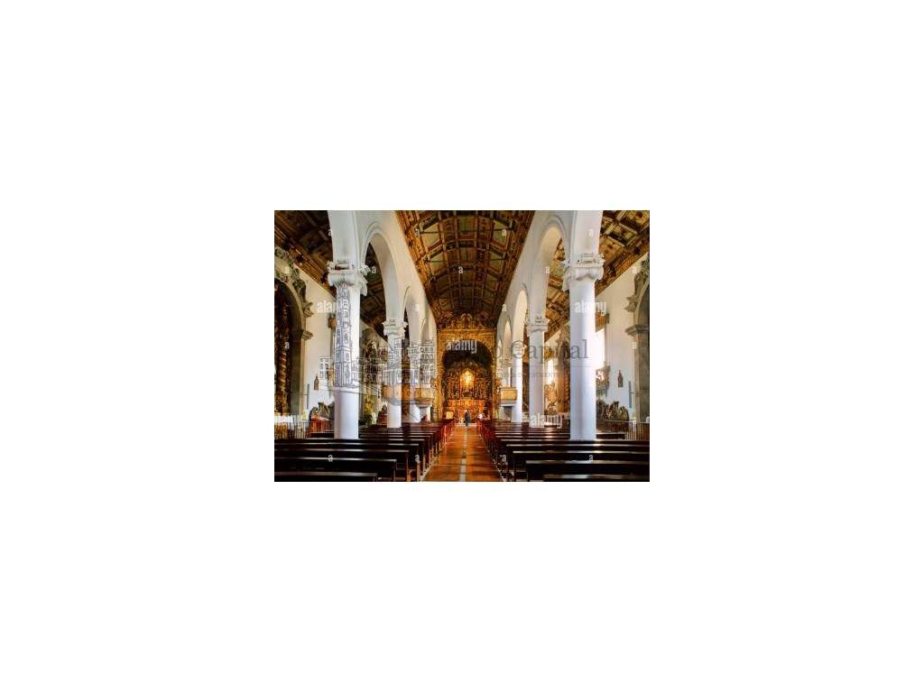 EXCELENTE APARTAMENTO T1, NA SENHORA DA HORA JUNTO AO NORTE SHOPING... - Grande imagem: 3/20