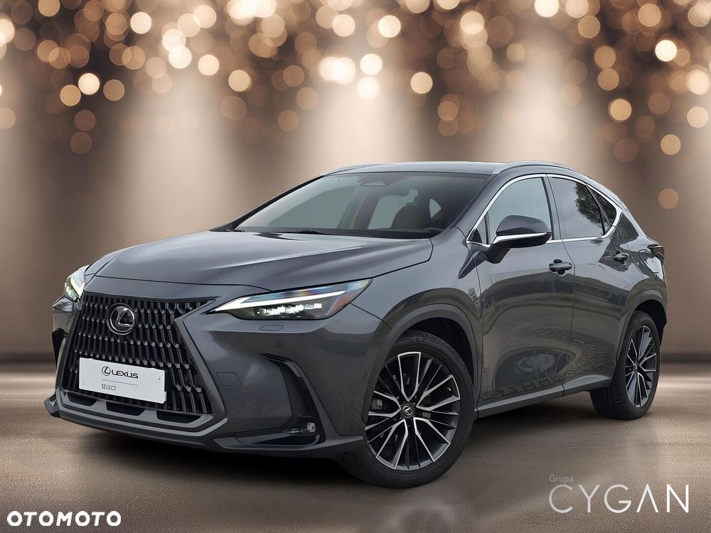 Lexus NX - 2