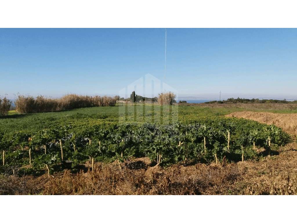 Lote de terreno para construção - Grande imagem: 2/3