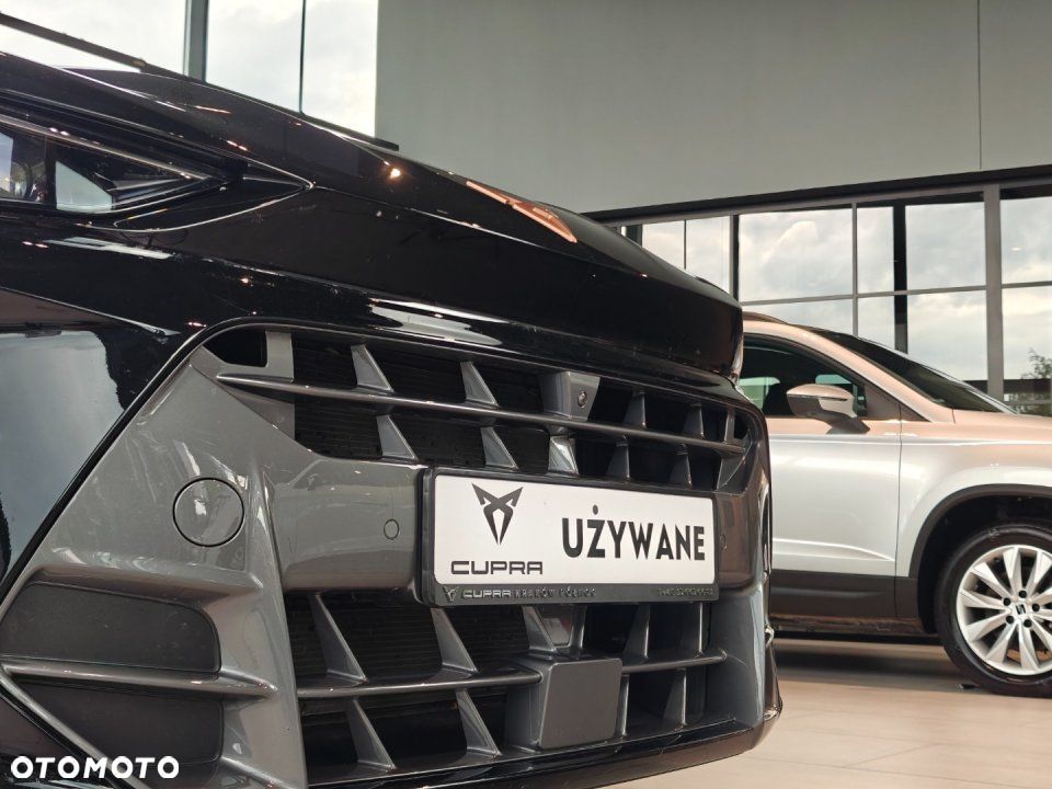 Cupra Terramar - 5