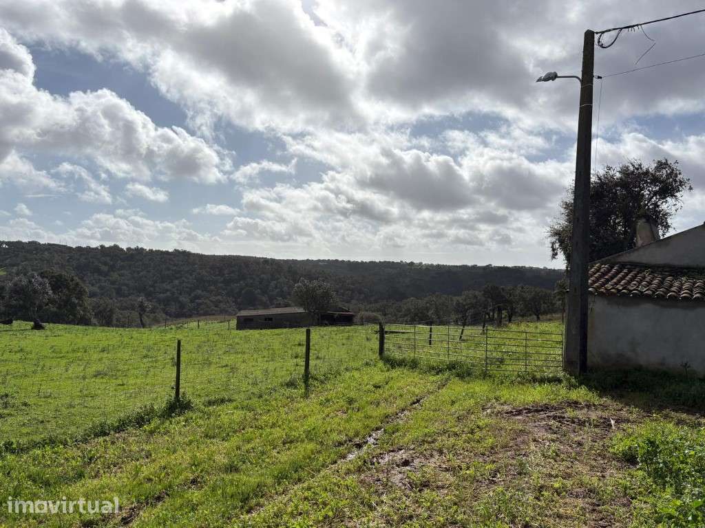 Terreno com Ampliação de Ruína em Melides - Grande imagem: 5/8