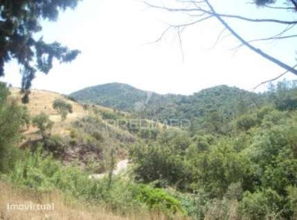 Terreno Rustico - Grande imagem: 4/8