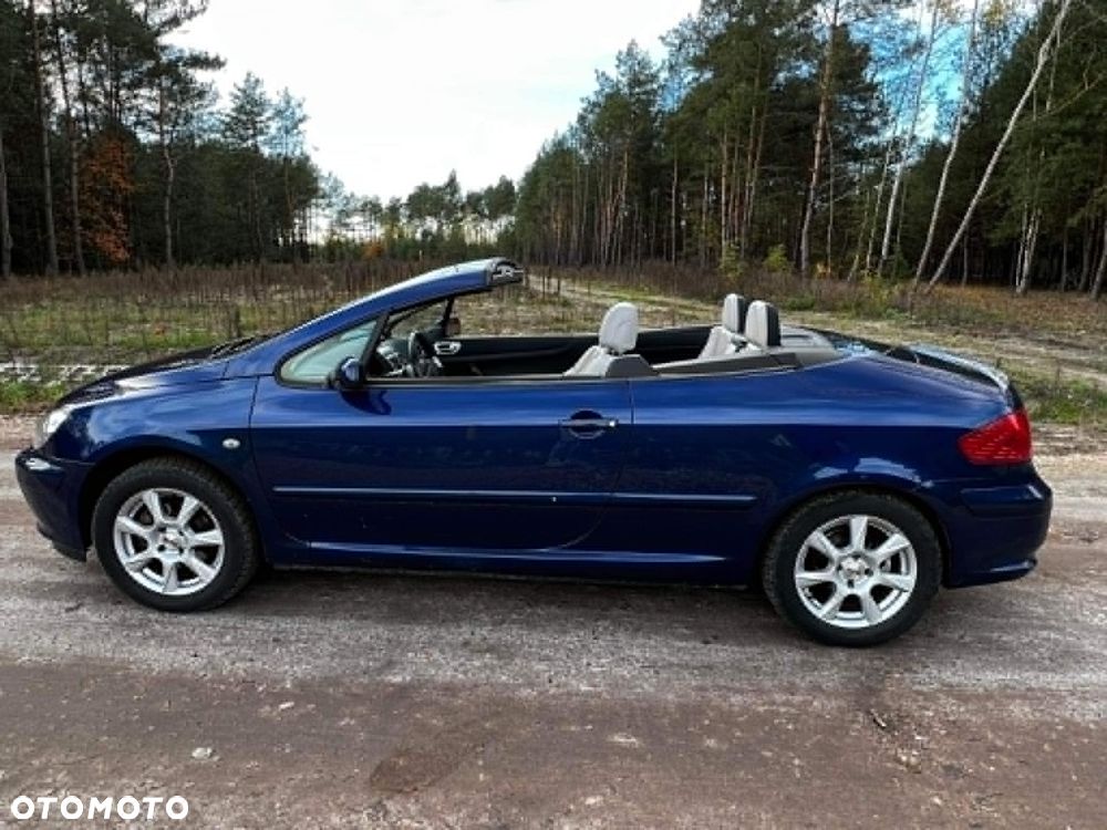Peugeot 307 - 8