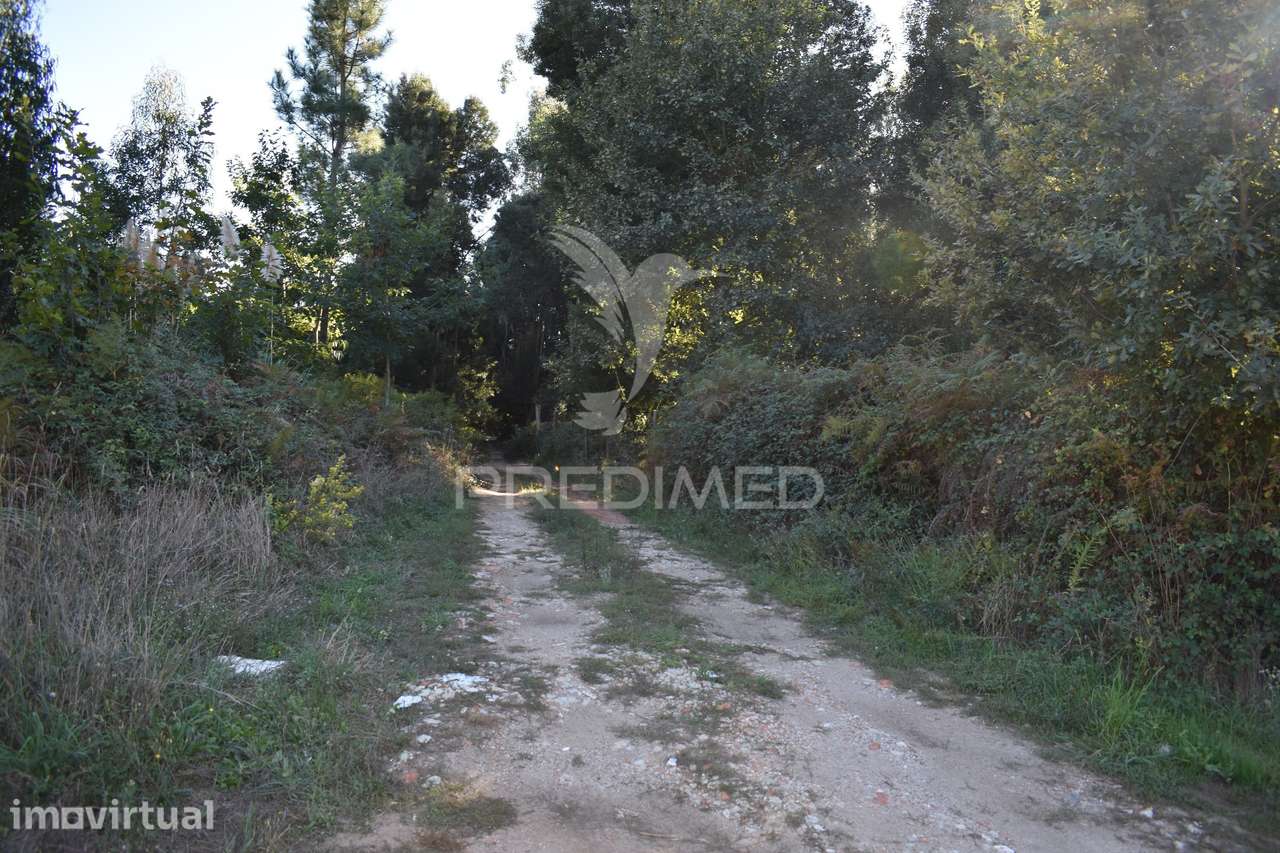Vende-se Terreno Rústico com 2.200m2 - Grande imagem: 2/11