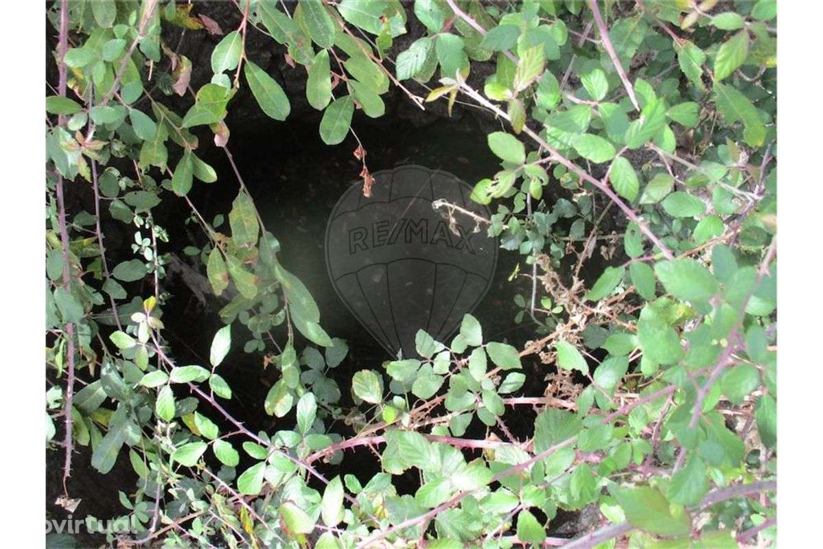 Quinta T0 para venda - Grande imagem: 4/31