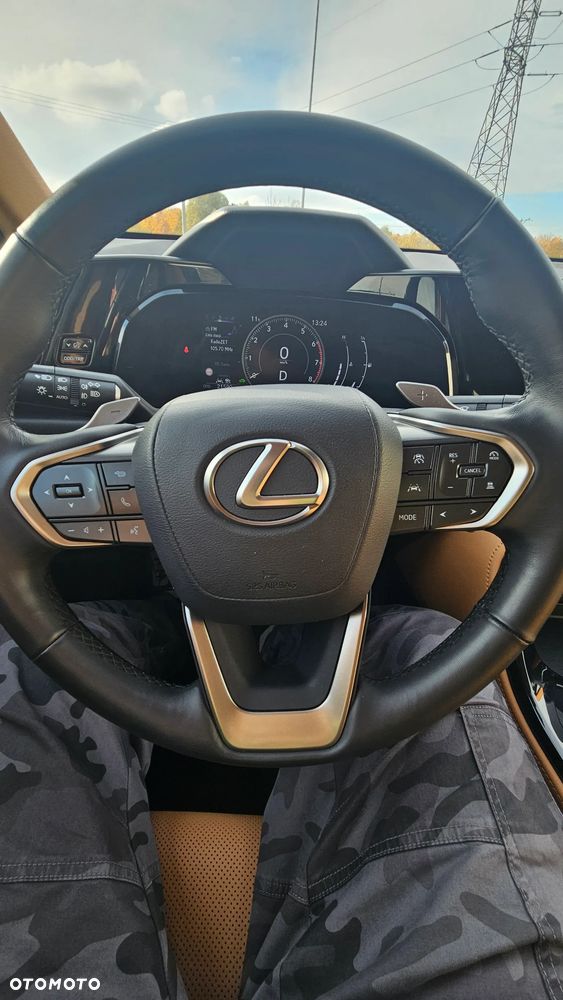 Lexus NX - 10