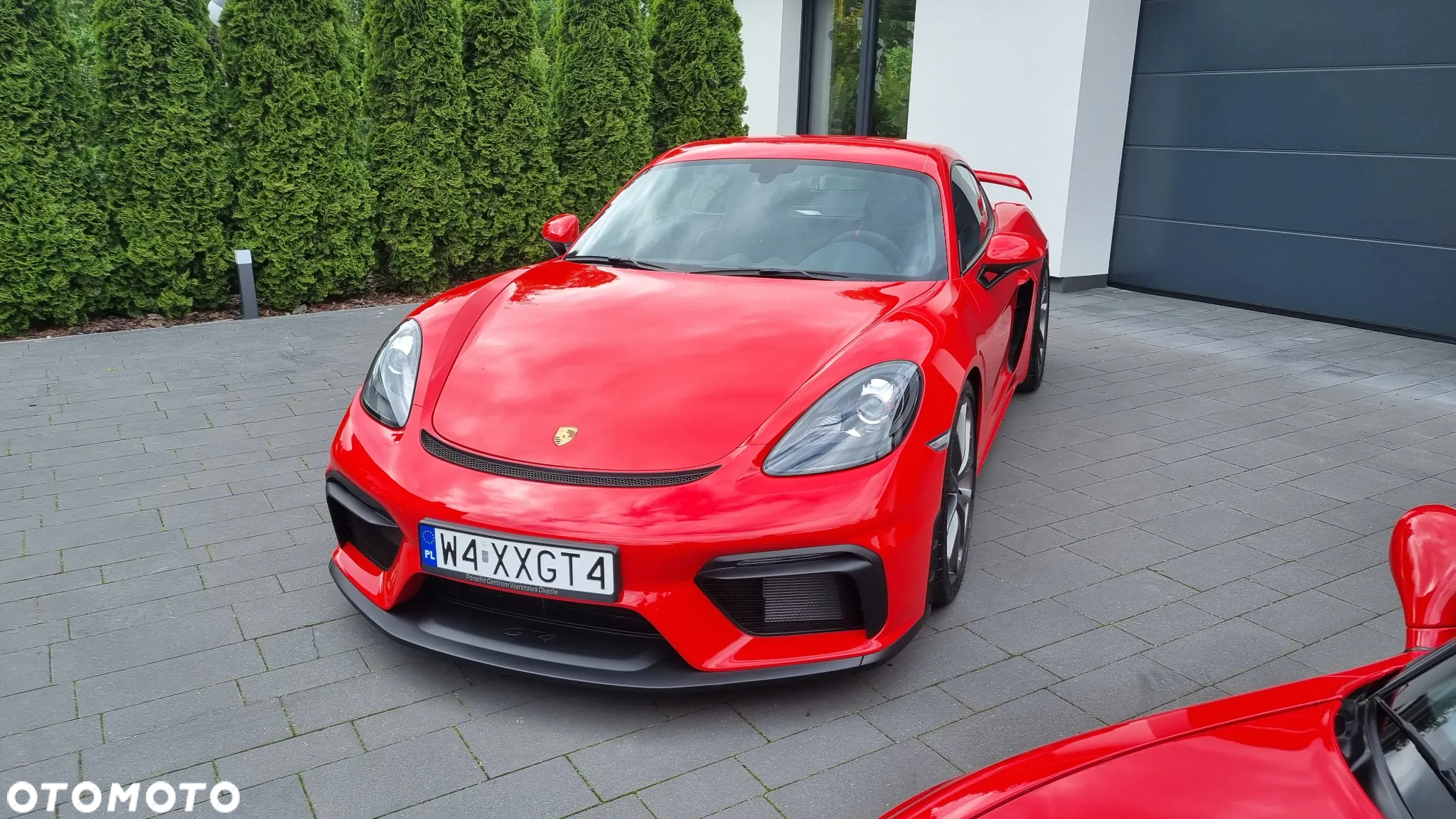 Porsche 718 Cayman GPF GT4 - 3