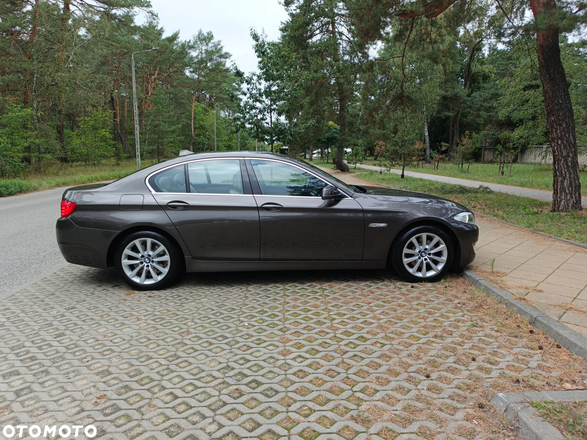 BMW Seria 5 - 17