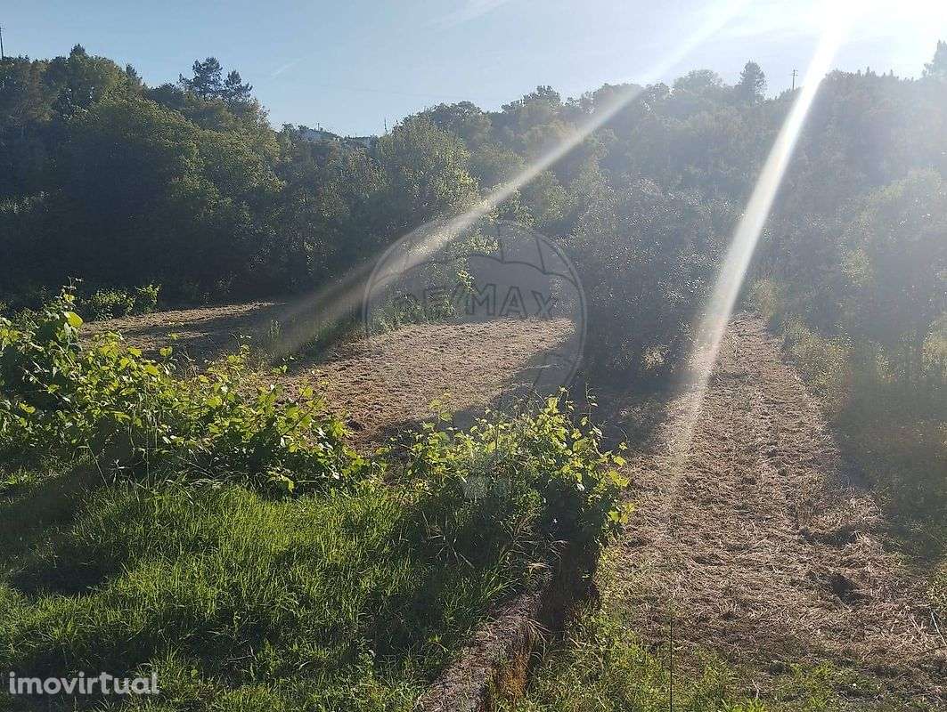 Terreno  para venda - Grande imagem: 3/10