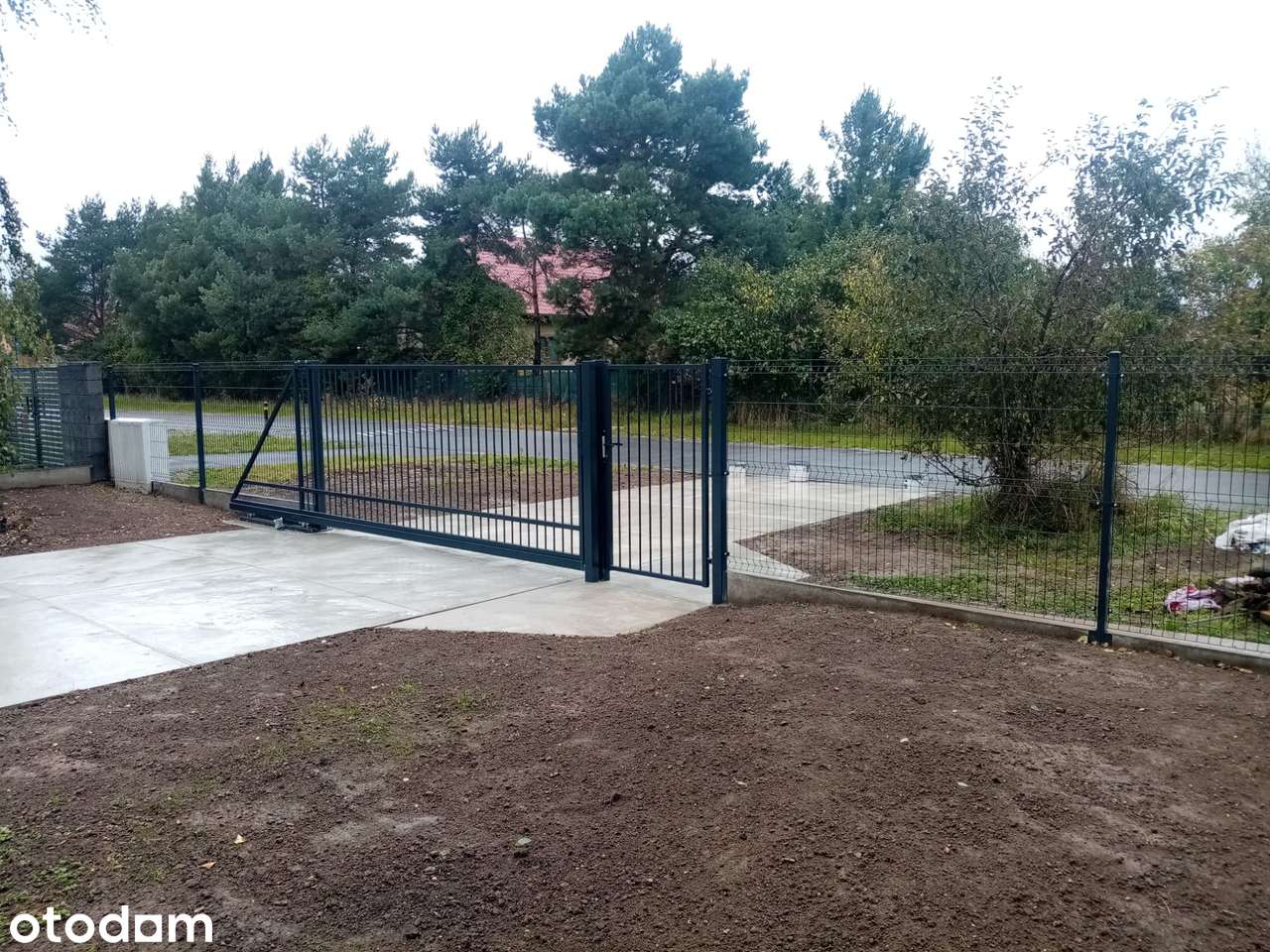 DOM Z WŁASNYM DĘBEM, JERZMANOWO - Pełny obrazek: 3/20
