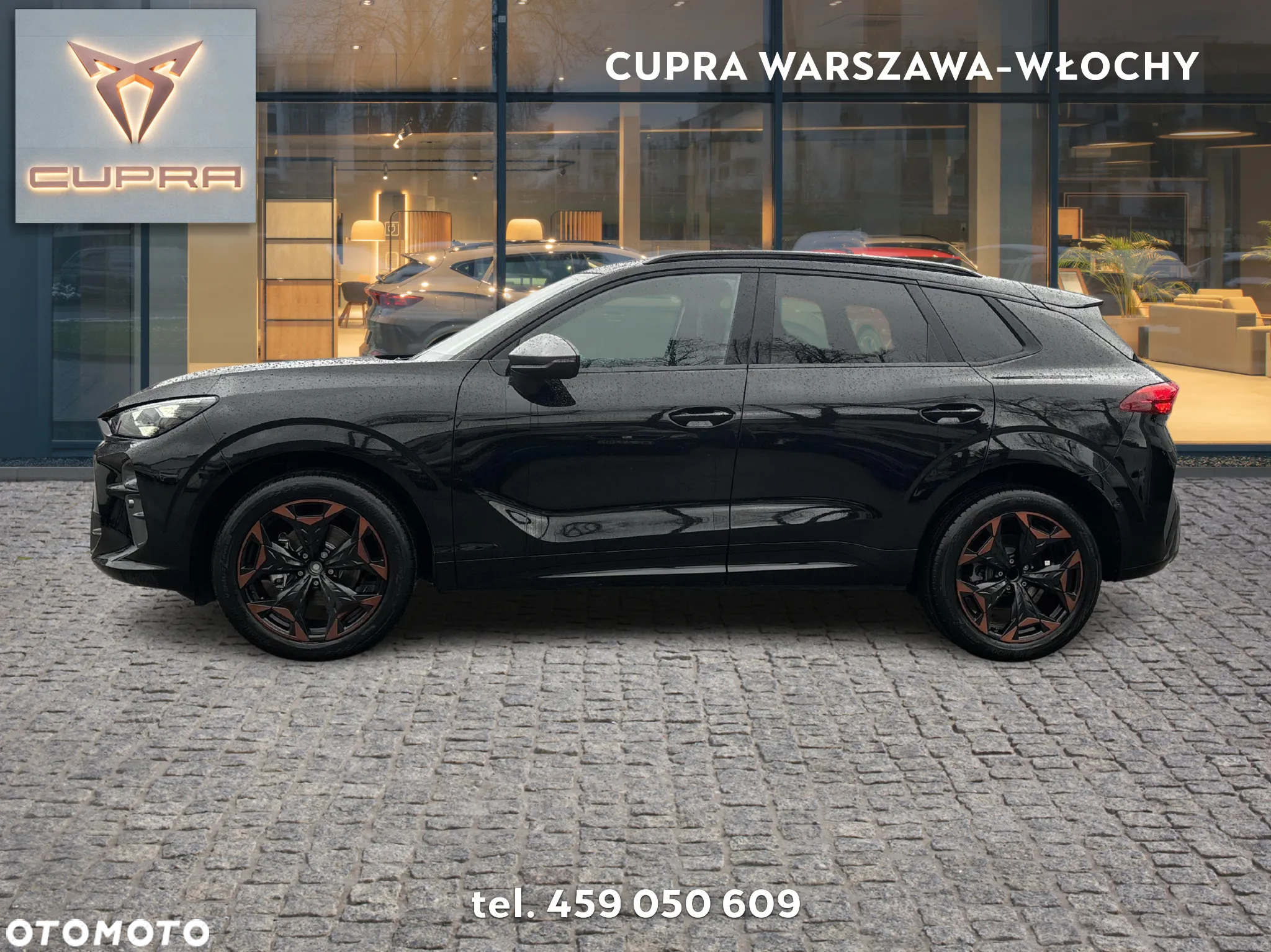 Cupra Terramar 2.0 TSI 4Drive DSG - 2