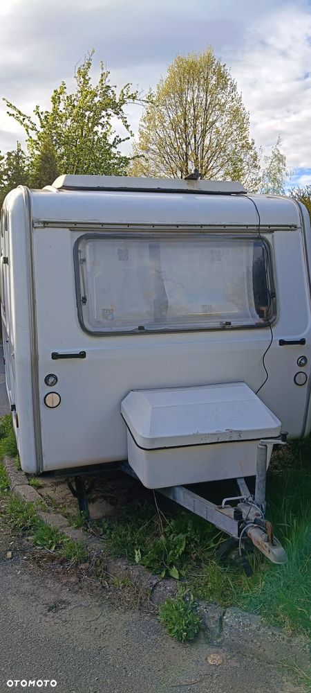 Niewiadów N126 - 6