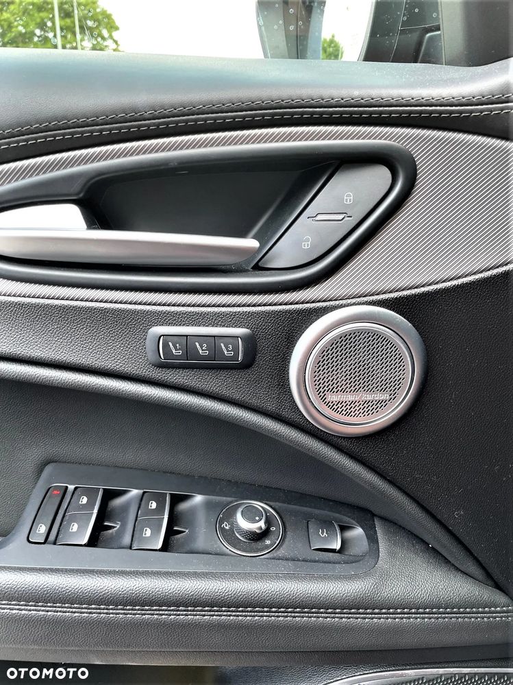 Alfa Romeo Stelvio 2.0 Turbo Veloce TI Q4 - 13