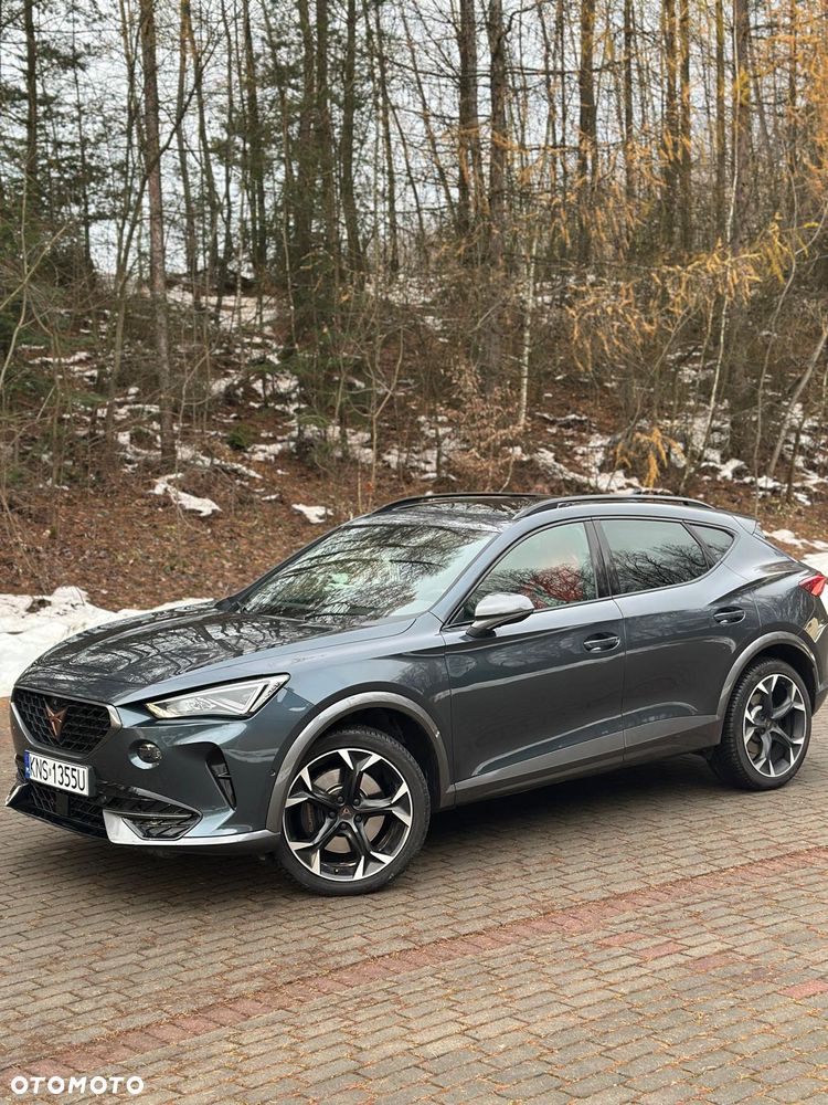 Cupra Formentor VZ 2.0 TSI DSG Tribe Edition - 10