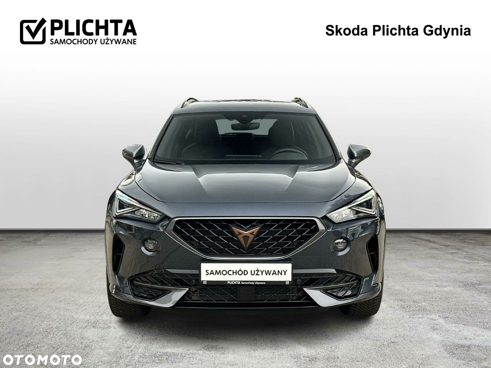 Cupra Formentor 2.0 TSI 4Drive DSG - 8