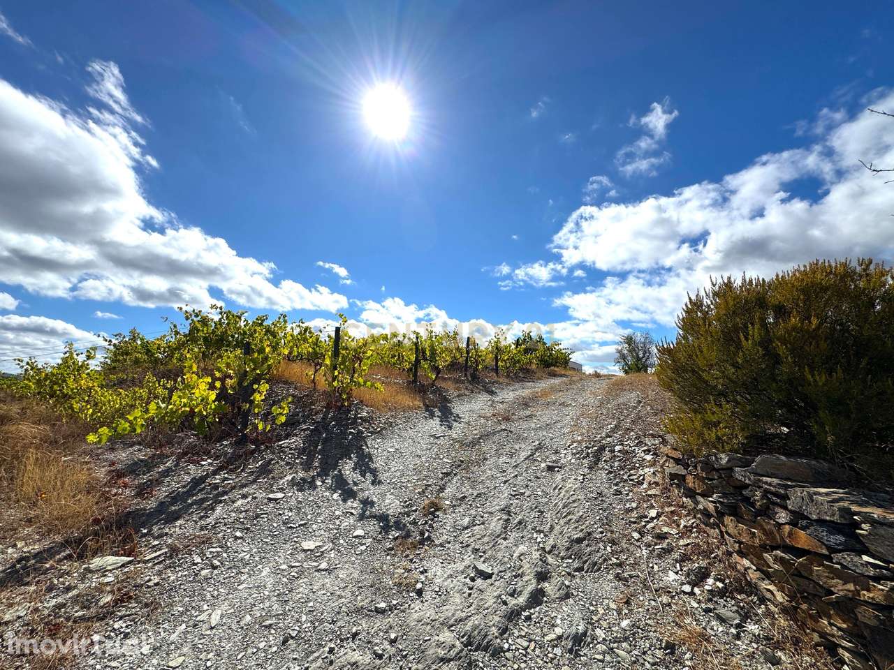 Propriedade Agrícola no Coração do Douro com Vinhas de Vinho do Porto, - Grande imagem: 4/29