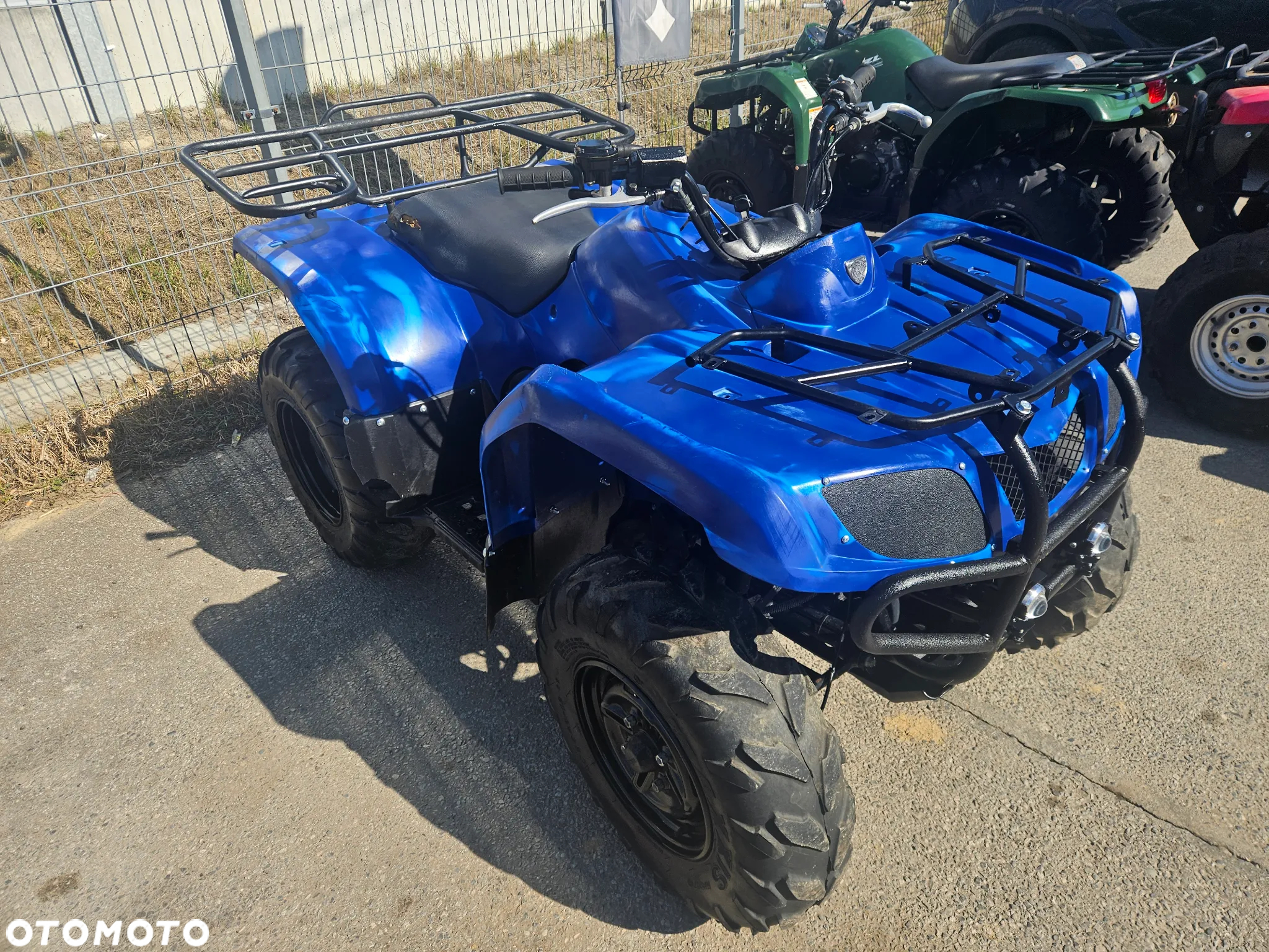 Yamaha Grizzly - 19