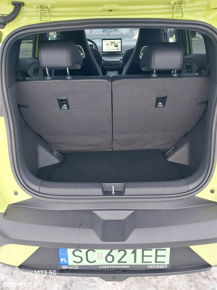 BYD Dolphin Surf - 18