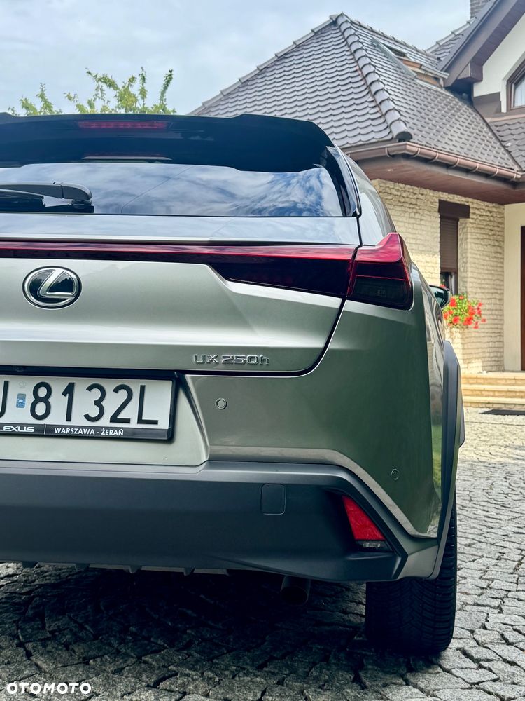 Lexus UX 250h F Sport 2WD - 8