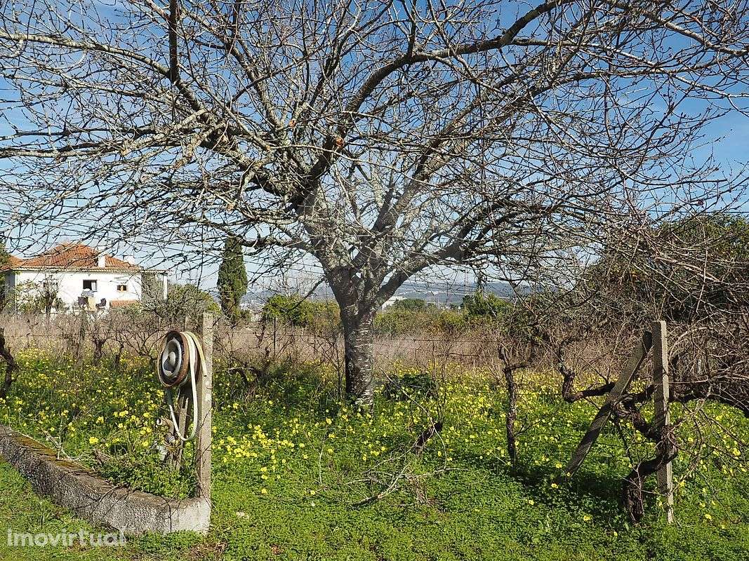 Quinta T3 para venda - Grande imagem: 5/50