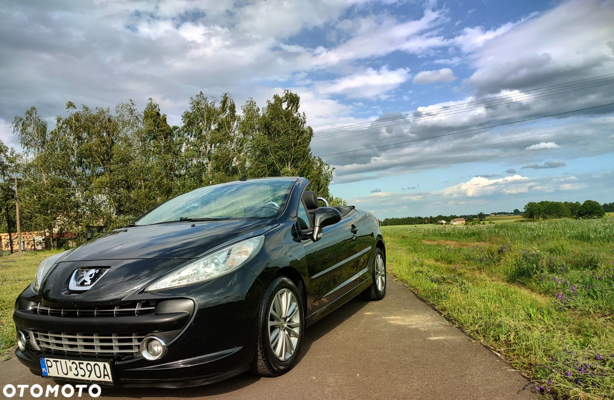 Peugeot 207 CC 1.6 HDI Sport - 2
