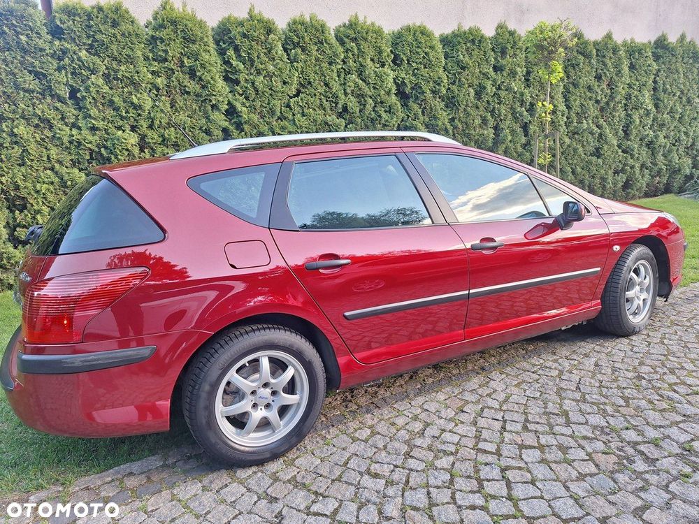 Peugeot 407 - 30