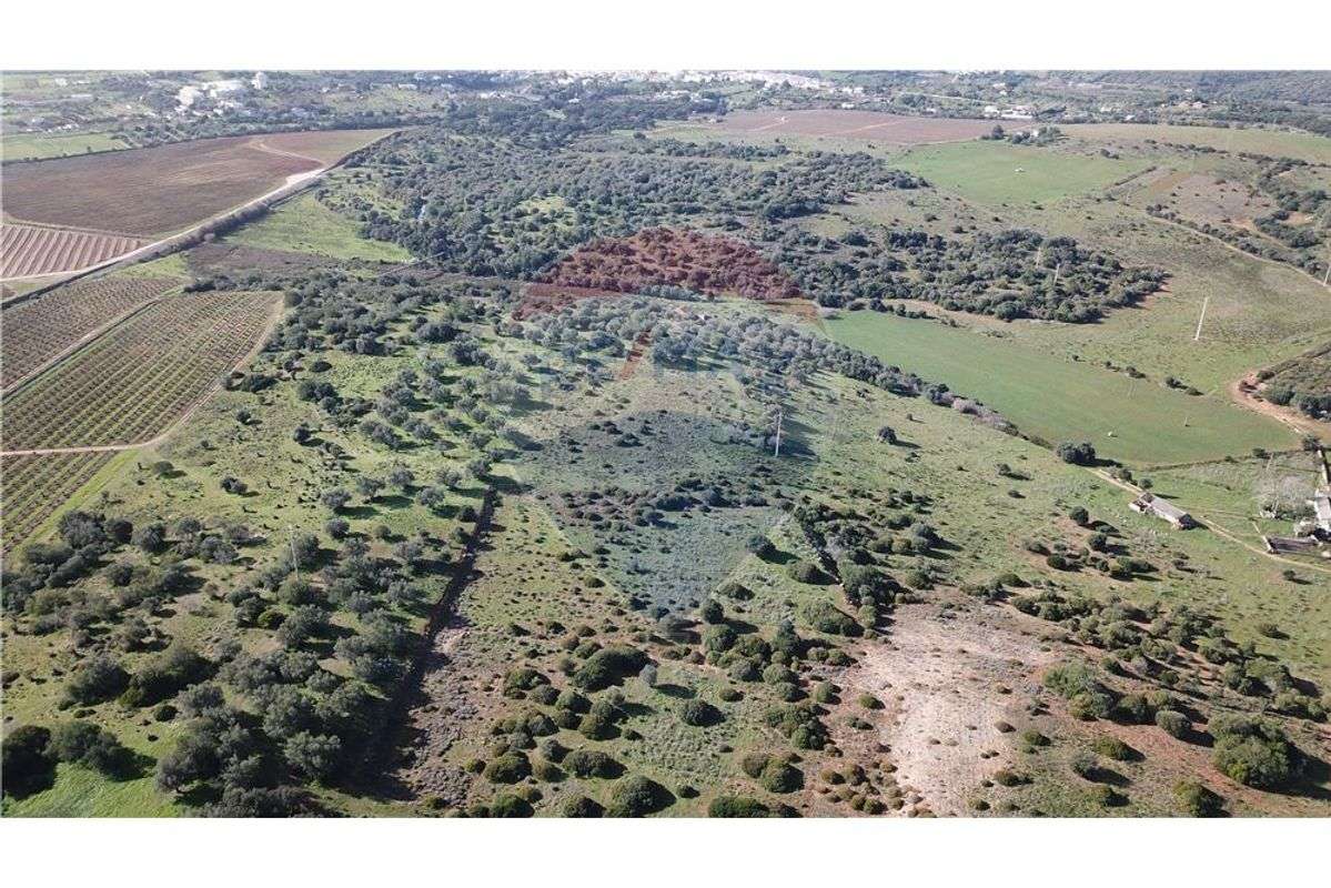 Fantático Terreno com viabilidade de construção - Grande imagem: 3/13