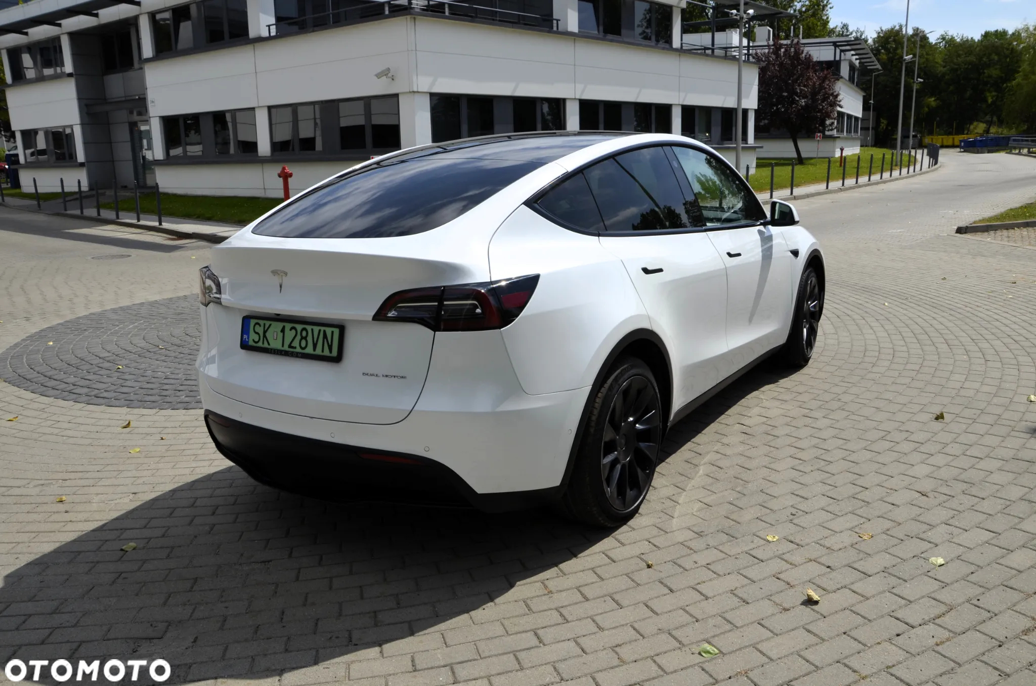 Tesla Y RWD - 6