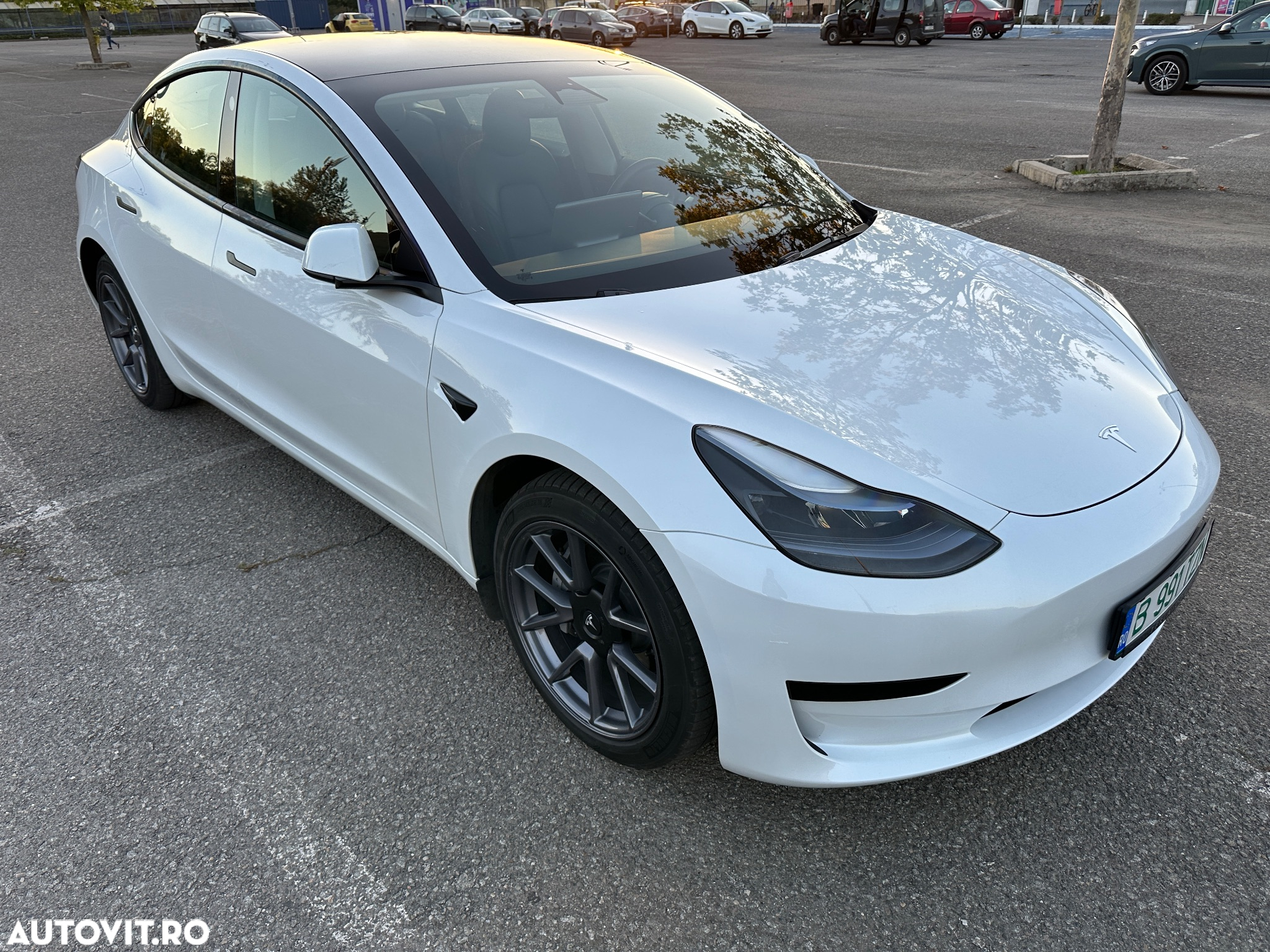 Tesla Model 3 RWD - 7