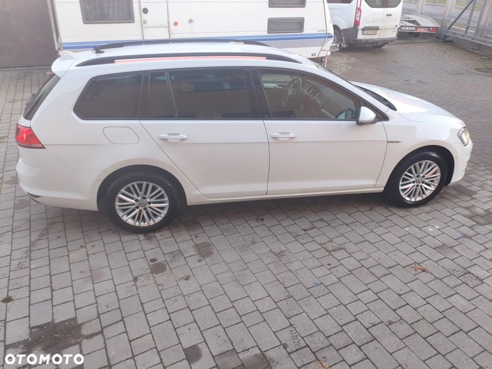 Volkswagen Golf 1.6 TDI BlueMotion Technology Cup - 6