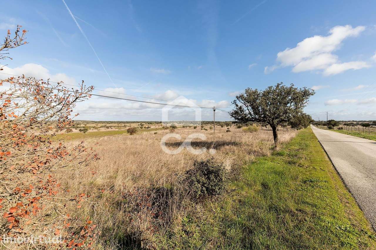 Terreno de 5,4 ha c/ Viabilidade de Construção | Capelins, Alandroal - Grande imagem: 4/50