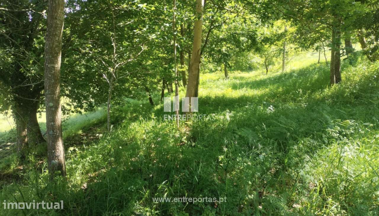 Terreno para venda, Vilarelho, Caminha - Grande imagem: 2/12