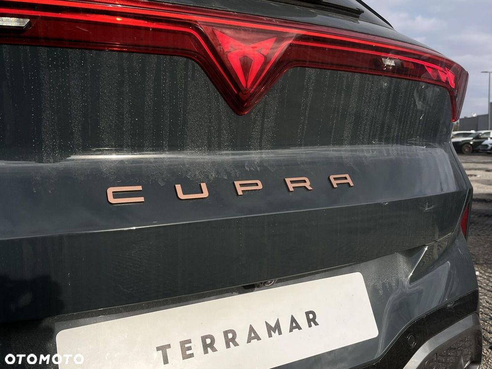 Cupra Terramar - 12