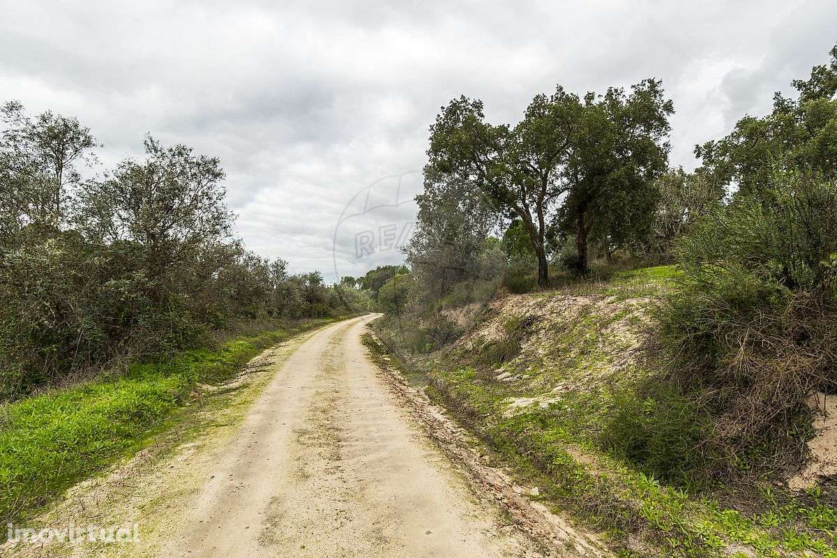 Terreno  para venda - Grande imagem: 5/13