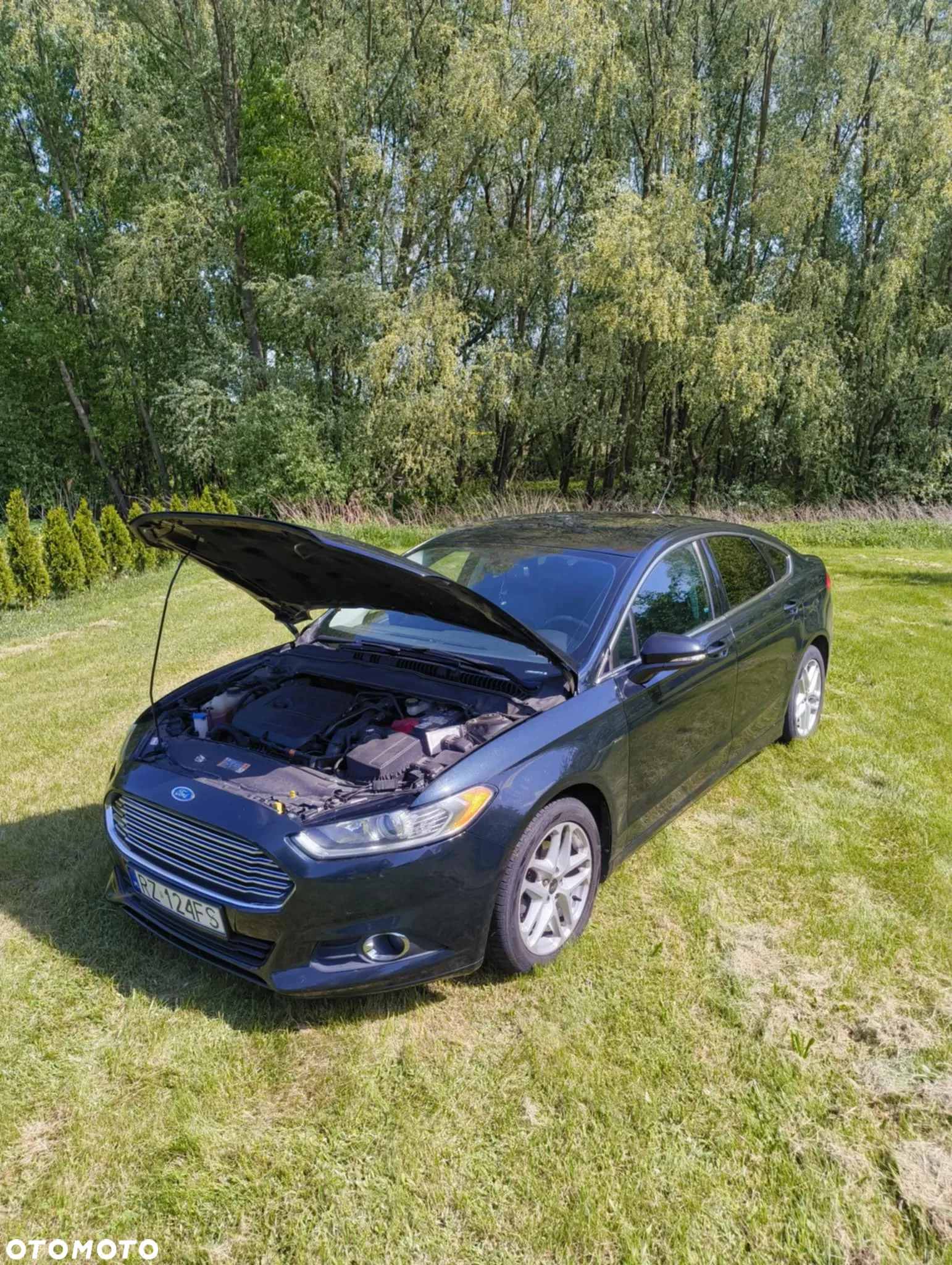 Ford Fusion - 16