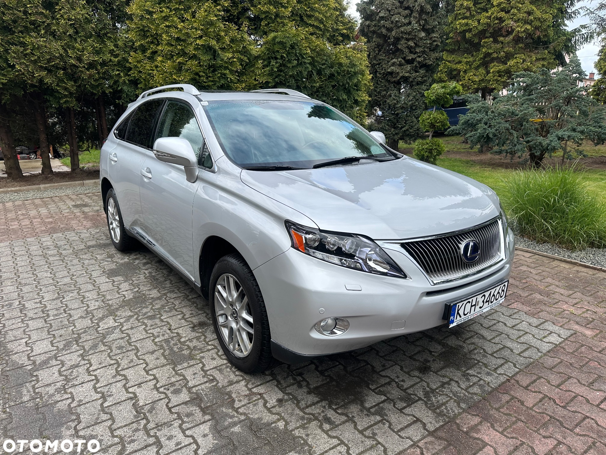Lexus RX 450h (hybrid) Luxury Line - 13