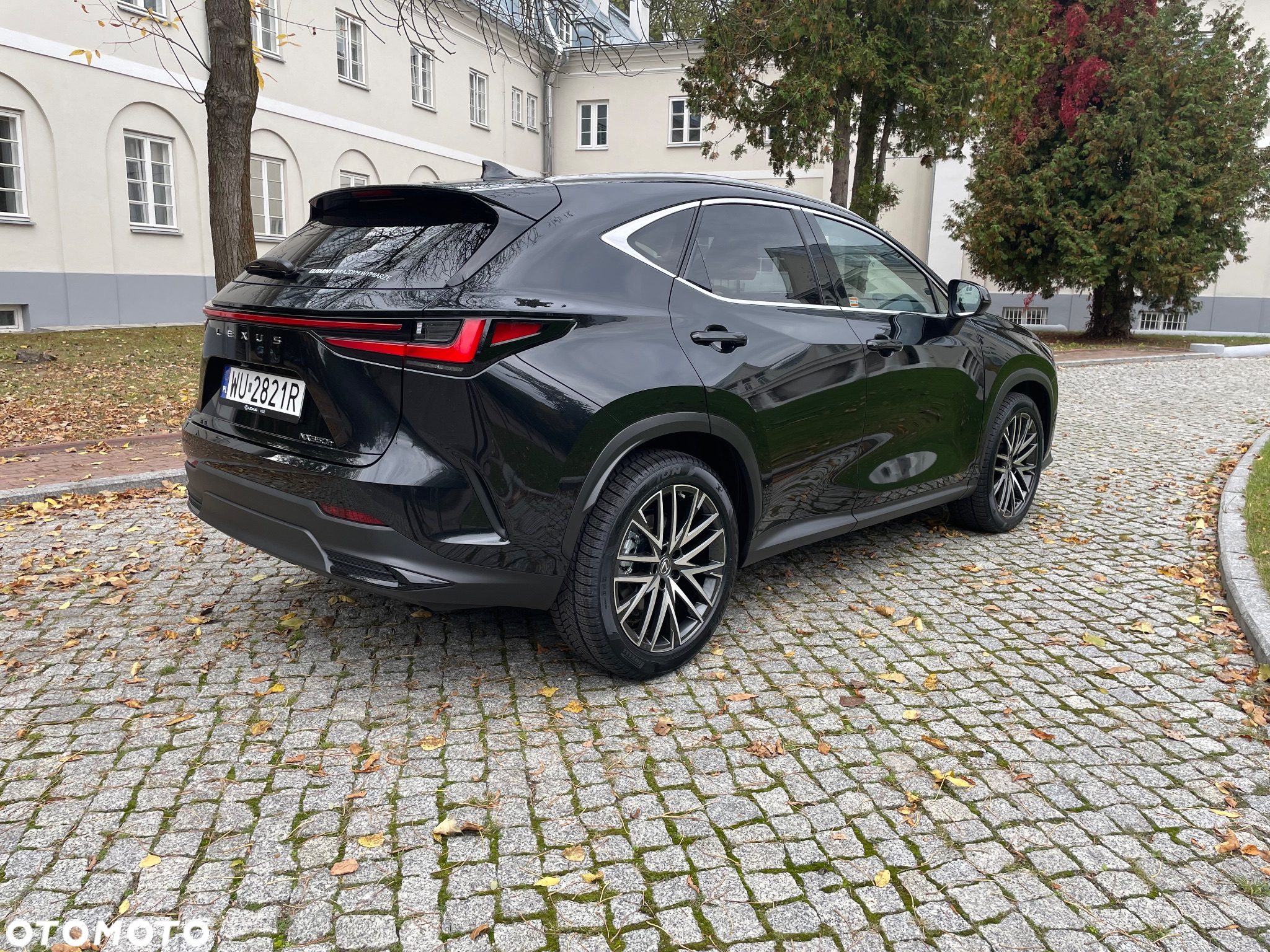 Lexus NX 350h Omotenashi AWD - 5