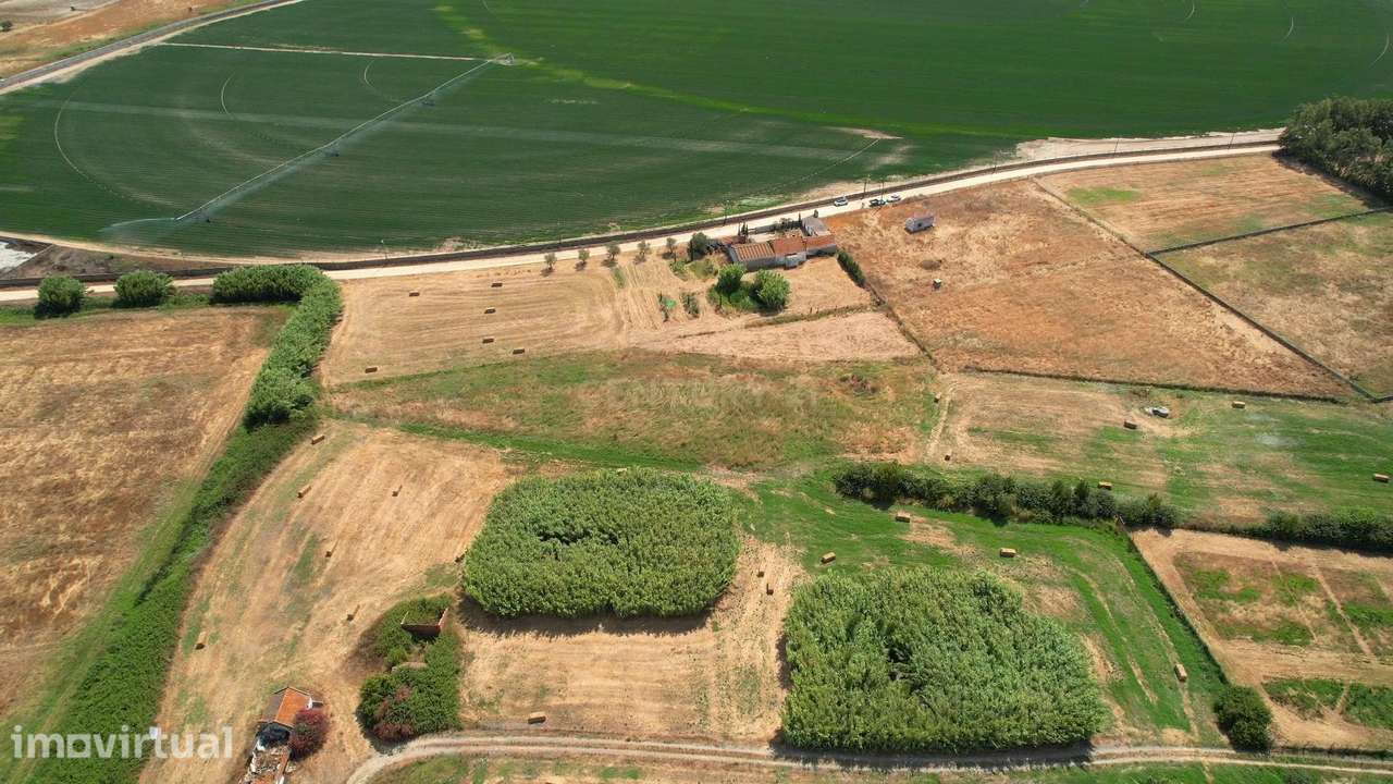 Terreno Rústico em Alcochete  com 5000 m2 – Natureza,  com Potencial - Grande imagem: 3/9