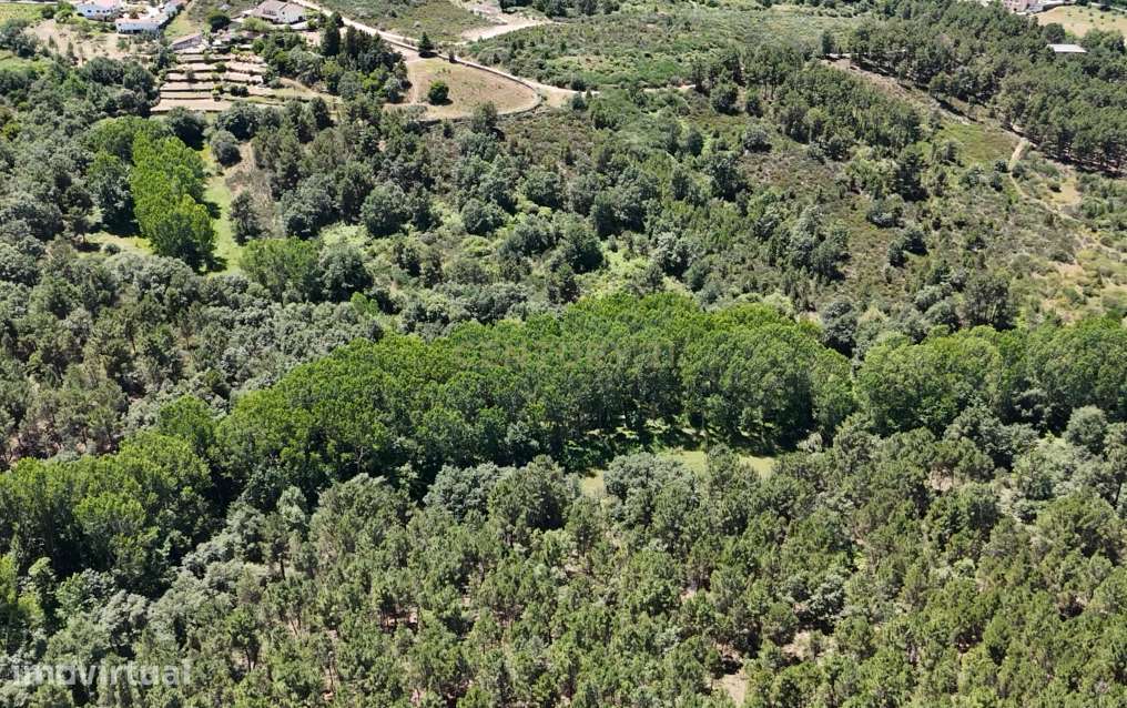 Terreno de 12 hectares, perto da Estrada N2, a 5km da cidade de Chaves - Grande imagem: 4/8