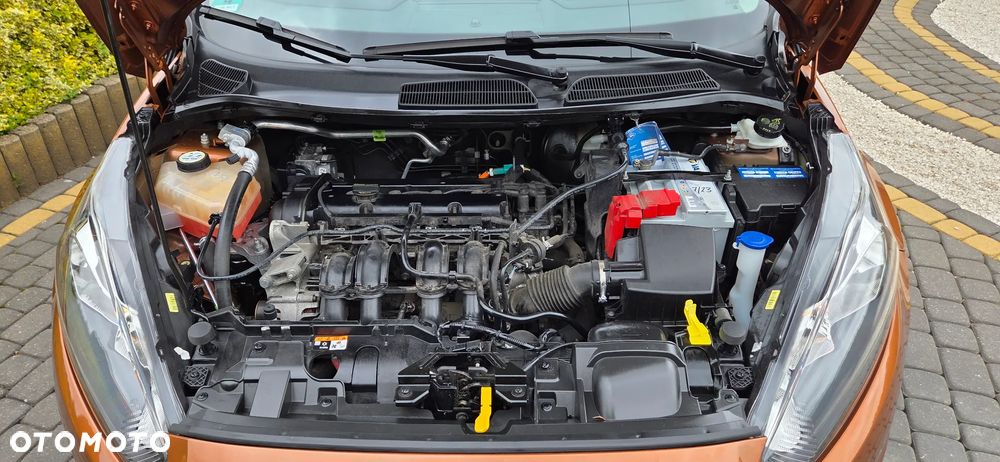 Ford Fiesta 1.25 Gold X EU5 - 16