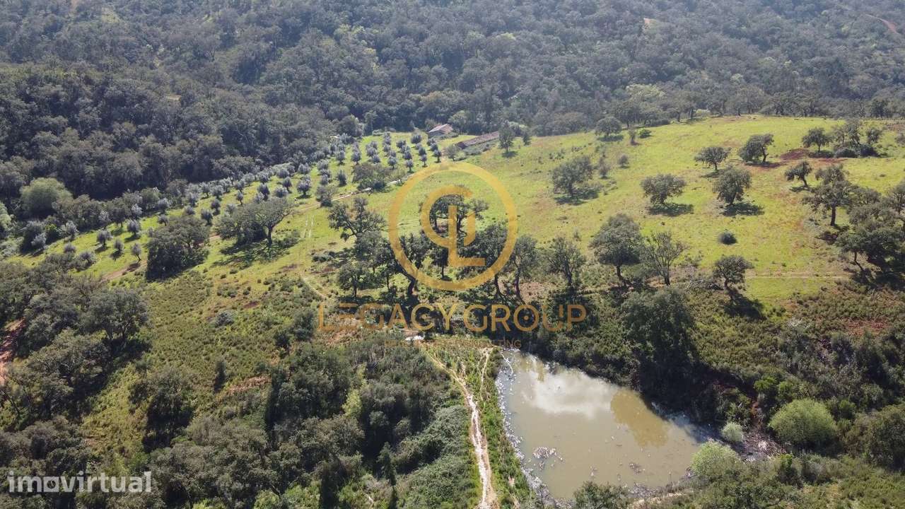 Herdade de 60 ha em Odemira - Grande imagem: 3/47