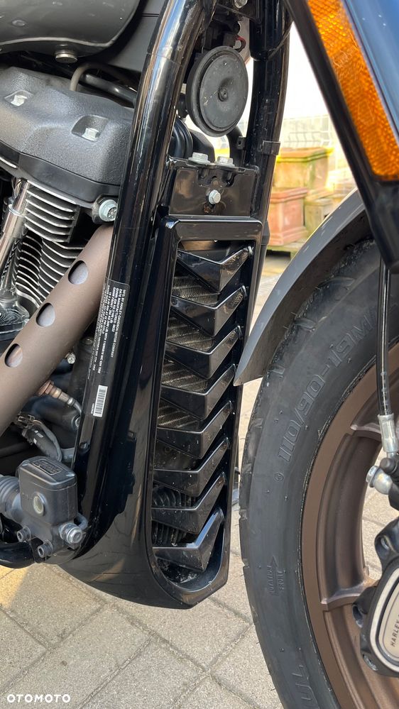 Harley-Davidson Softail Low Rider - 18