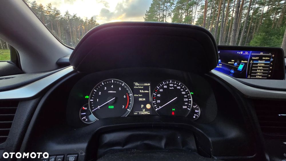 Lexus RX 450h Elegance - 14